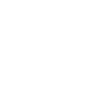 icon NEXTSPIN